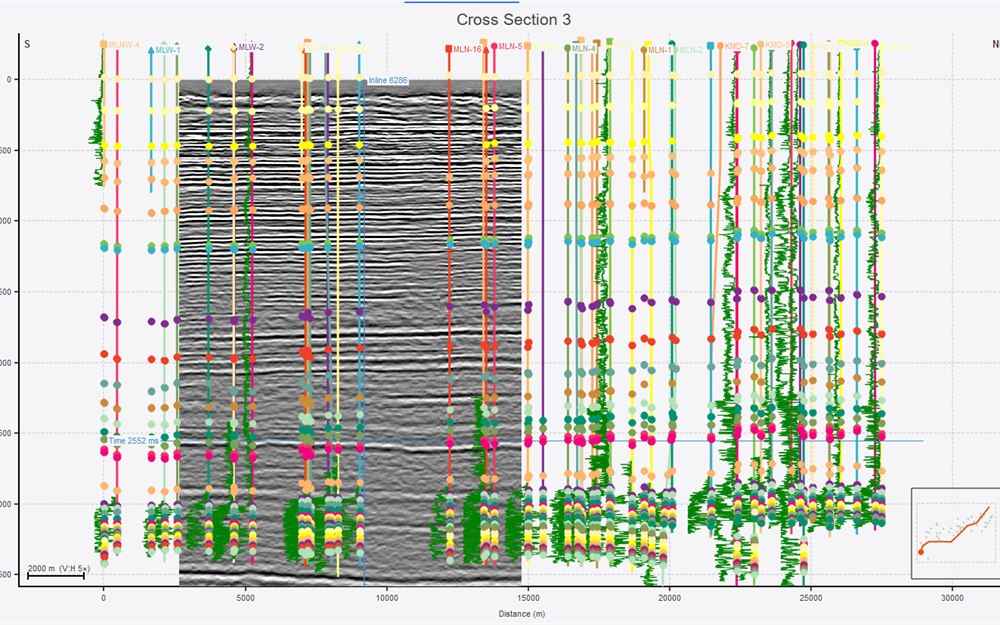 Geo-Base cross section: a seismic panel with two dozen wells hung along it, each carrying a gamma-ray curve and a column of correlated tops.